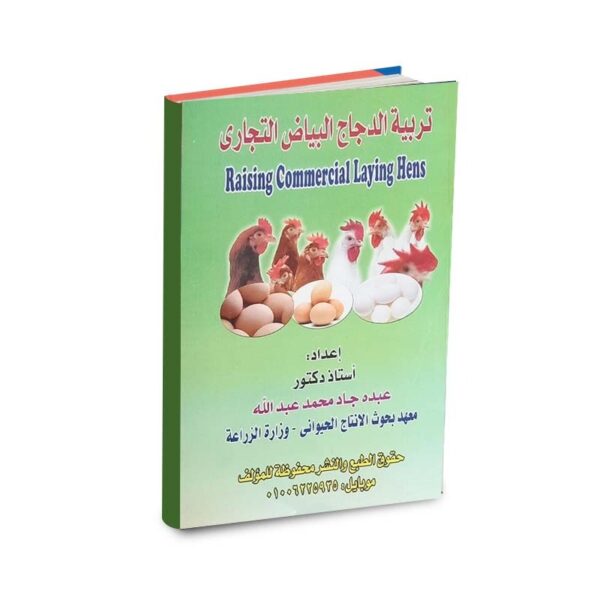 تربية الدجاج البياض التجارى