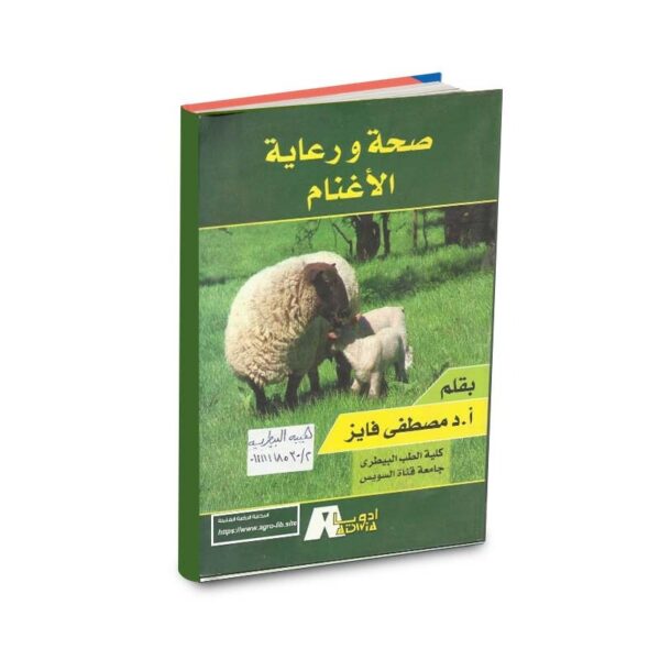 صحة ورعاية الأغنام